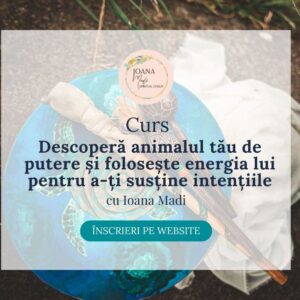 Descoperă animalul tău de putere